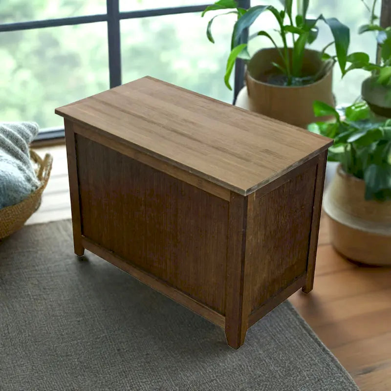 Carbon Loft Molyneux Solid Bamboo Storage Bench